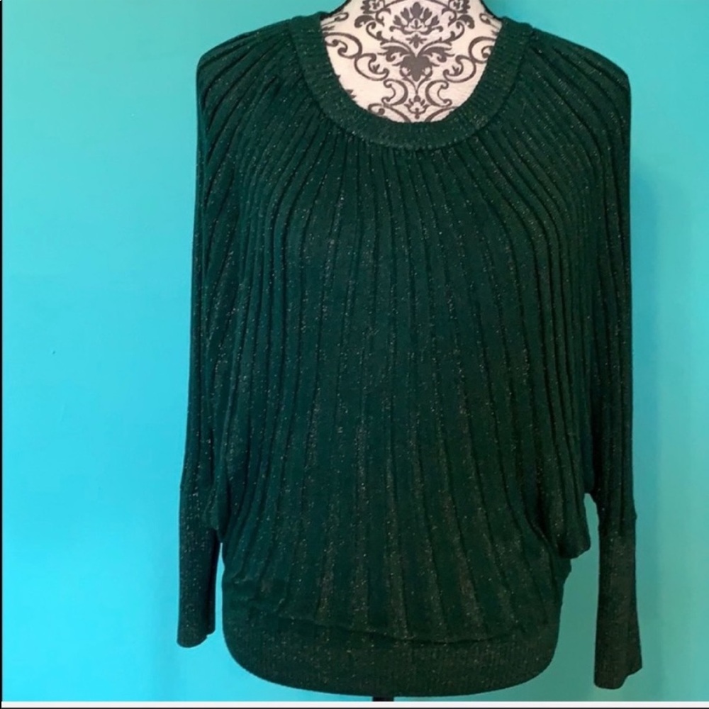 Bebe Stretch Loose Arm Shimmer Sweater